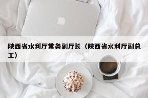 陕西省水利厅常务副厅长（陕西省水利厅副总工）