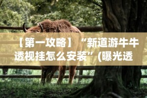 【第一攻略】“新道游牛牛透视挂怎么安装”(曝光透视必备猫腻)