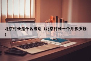 北京村长是什么级别（北京村长一个月多少钱）