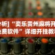 实测!“闲逸碰胡开挂神器”详细辅助软件教程