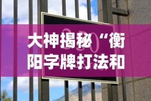 大神揭秘“衡阳字牌打法和技巧(详细真的有挂)-知乎