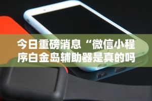 今日重磅消息“微信小程序白金岛辅助器是真的吗”真实开挂技巧分享