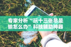 专家分析“玩十三张总是输怎么办”科技辅助神器手机版教程