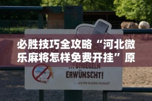 必胜技巧全攻略“河北微乐麻将怎样免费开挂”原来可以开挂