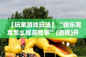 【玩家游戏玩法】“微乐窝龙怎么提高胜率”(透视)开挂详细教程