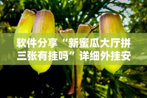 软件分享“新蜜瓜大厅拼三张有挂吗”详细外挂安装步骤
