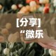 [分享]“微乐山西扣点点有挂没”科技辅助神器手机版教程