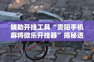 万能开挂辅助“海南微乐麻将怎么开挂”(助赢详细开挂教程)