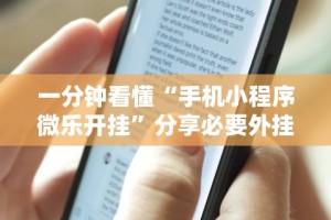 一分钟看懂“手机小程序微乐开挂”分享必要外挂教程