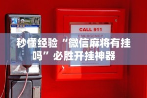 秒懂经验“微信麻将有挂吗”必胜开挂神器