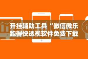 开挂辅助工具“微信微乐跑得快透视软件免费下载”详细分享装挂步骤教程