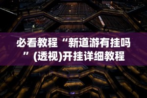 必看教程“新道游有挂吗”(透视)开挂详细教程