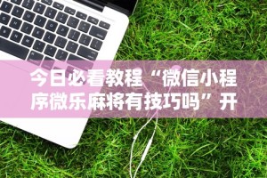 今日必看教程“微信小程序微乐麻将有技巧吗”开挂辅助脚本+详细开挂