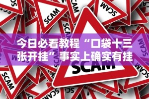 今日必看教程“口袋十三张开挂”事实上确实有挂