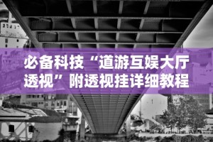 必备科技“道游互娱大厅透视”附透视挂详细教程