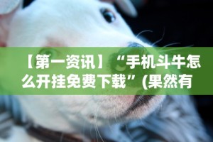 【第一资讯】“手机斗牛怎么开挂免费下载”(果然有透视挂)