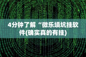 4分钟了解“微乐填坑挂软件(确实真的有挂)