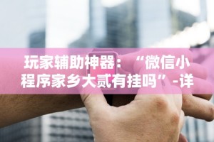 玩家辅助神器：“微信小程序家乡大贰有挂吗”-详细教程