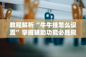 教程解析“牛牛挂怎么设置”掌握辅助功能必胜规则