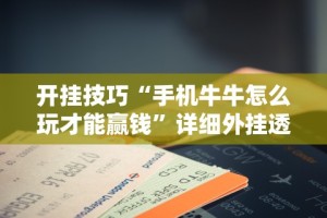 开挂技巧“手机牛牛怎么玩才能赢钱”详细外挂透视辅助软件教程