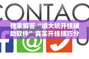 独家解答“填大坑开挂辅助软件”真实开挂技巧分享