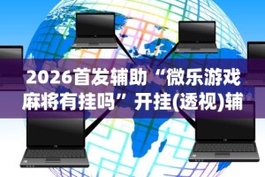 2026首发辅助“微乐游戏麻将有挂吗”开挂(透视)辅助