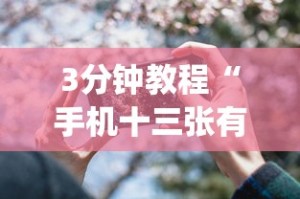 3分钟教程“手机十三张有什么技巧”(果然有透视挂)
