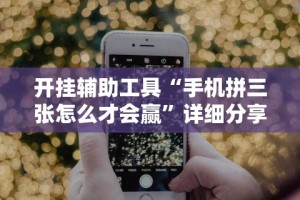 独家实测“跑胡子字牌合集辅助器”附透视挂详细教程
