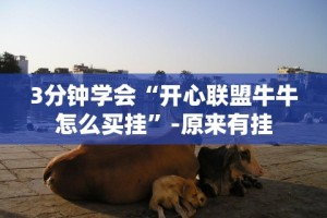 3分钟学会“开心联盟牛牛怎么买挂”-原来有挂