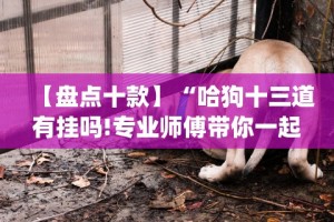 【盘点十款】“哈狗十三道有挂吗!专业师傅带你一起了解(确实有挂)