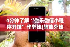4分钟了解“微乐微信小程序开挂”作弊挂(辅助外挂+