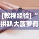 [教程经验]“拱趴大菠萝有什么挂吗”分享必要外挂教程