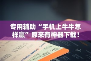 专用辅助“手机上牛牛怎样赢”原来有神器下载！