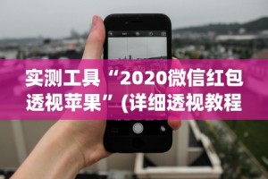 实测工具“2020微信红包透视苹果”(详细透视教程)