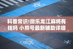 科普常识!微乐龙江麻将有挂吗 小熊号最新辅助详细教程