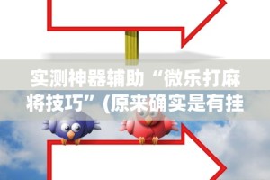 实测神器辅助“微乐打麻将技巧”(原来确实是有挂)