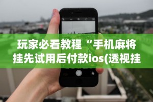 玩家必看教程“手机麻将挂先试用后付款ios(透视挂真的假的)