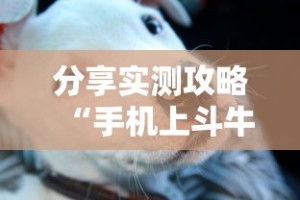 分享实测攻略“手机上斗牛怎么才可以开挂”详细开挂安装教程