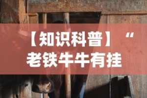 【知识科普】“老铁牛牛有挂吗”开挂(透视)辅助教程