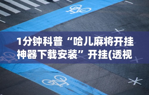 2026首发辅助“阿拉游戏中心到底是不是有挂”辅助工具插件,揭秘技巧开挂