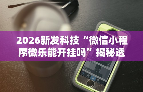 2026新发科技“微信小程序微乐能开挂吗”揭秘透视辅助万能挂用法