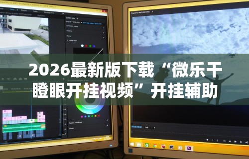 2026最新版下载“微乐干瞪眼开挂视频”开挂辅助详细步骤