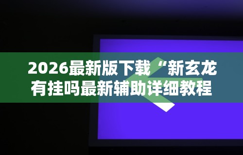 2026最新版下载“新玄龙有挂吗最新辅助详细教程
