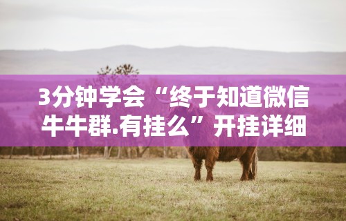 3分钟学会“终于知道微信牛牛群.有挂么”开挂详细教程