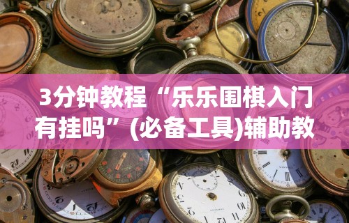 3分钟教程“乐乐围棋入门有挂吗”(必备工具)辅助教学