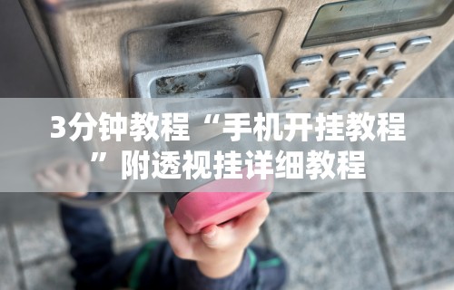 3分钟教程“手机开挂教程”附透视挂详细教程