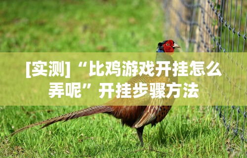 [实测]“比鸡游戏开挂怎么弄呢”开挂步骤方法
