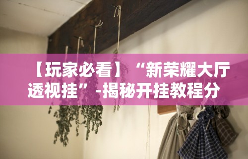 【玩家必看】“新荣耀大厅透视挂”-揭秘开挂教程分享