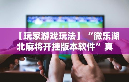 【玩家游戏玩法】“微乐湖北麻将开挂版本软件”真实开挂技巧分享
