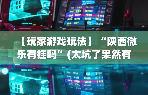 【玩家游戏玩法】“陕西微乐有挂吗”(太坑了果然有挂)